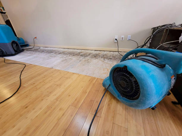 Professional Ceiling Water Damage Repair technician working in Providence, UT